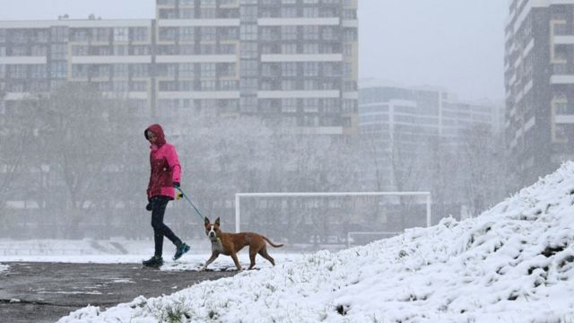 Lviv'de bir parkta köpeğiyle yürüyen bir kadın