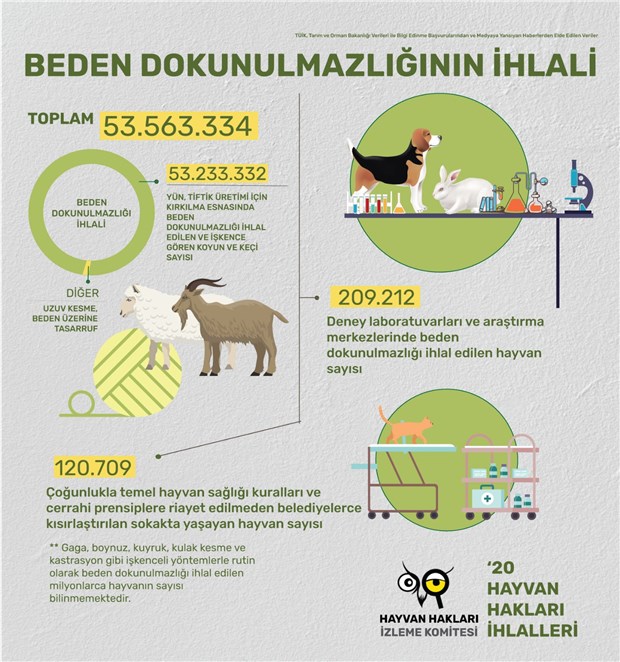 2020-de-en-az-1-milyar-hayvanin-yasam-hakki-gasp-edildi-862216-1.