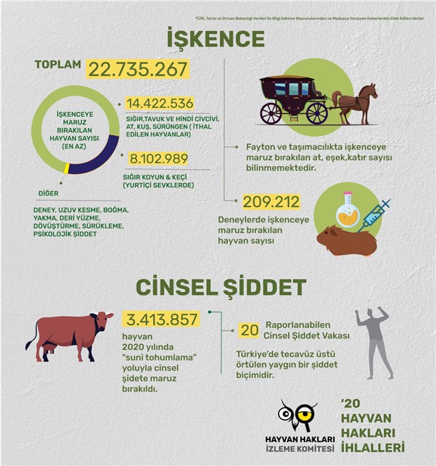 2020-de-en-az-1-milyar-hayvanin-yasam-hakki-gasp-edildi-862218-1.
